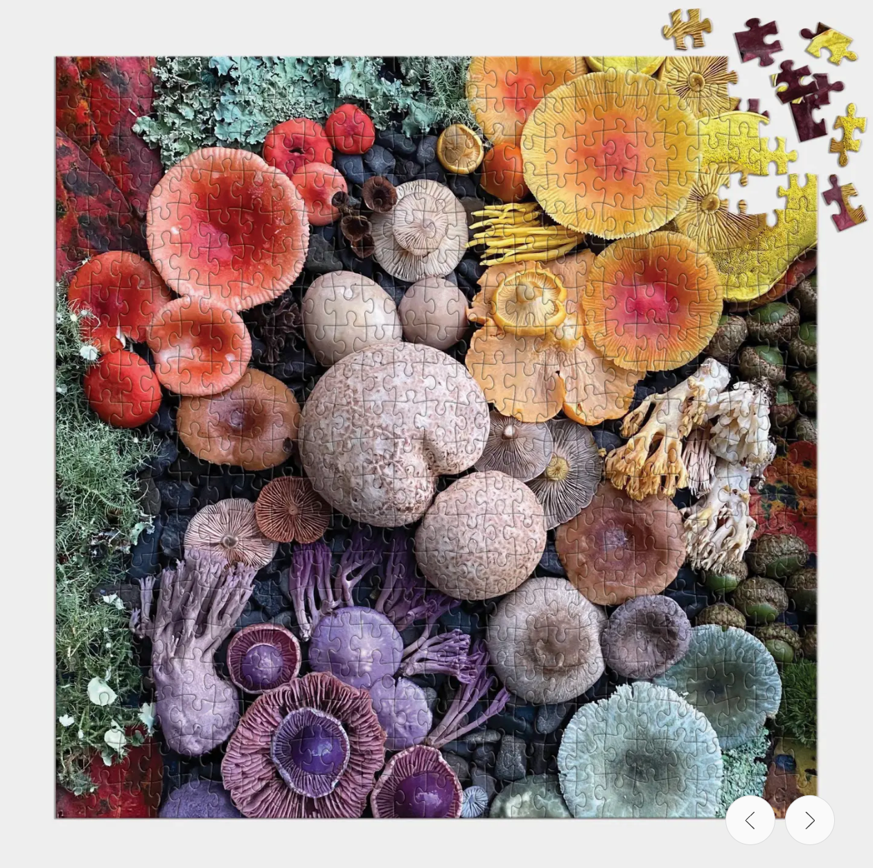 Shrooms in Bloom 500 Piece Puzzle