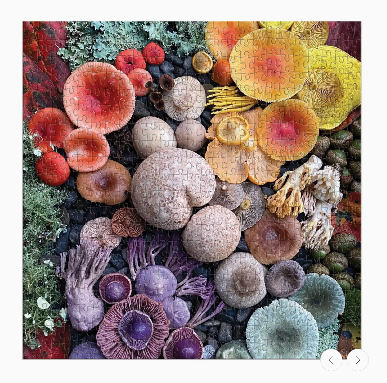 Shrooms in Bloom 500 Piece Puzzle