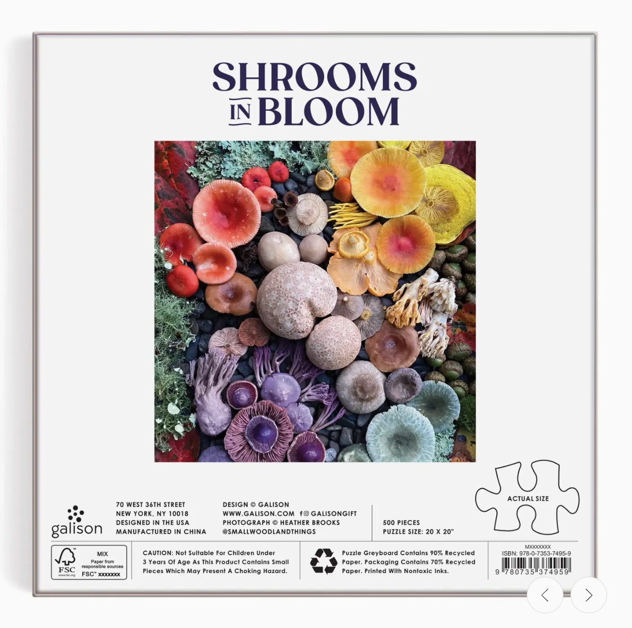 Shrooms in Bloom 500 Piece Puzzle
