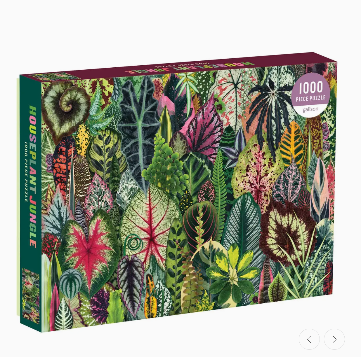 Houseplant Jungle 1000 Piece Puzzle