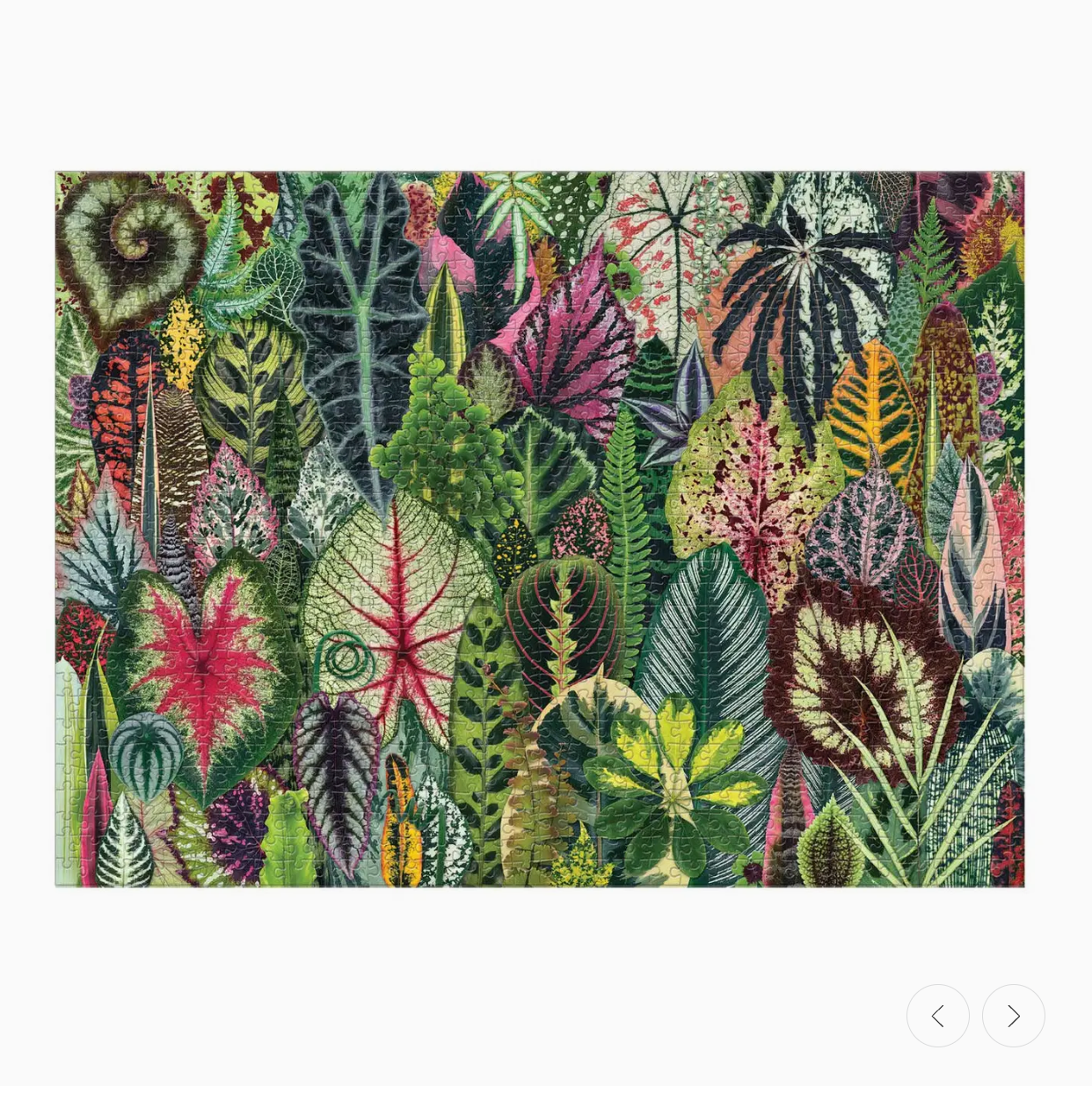Houseplant Jungle 1000 Piece Puzzle