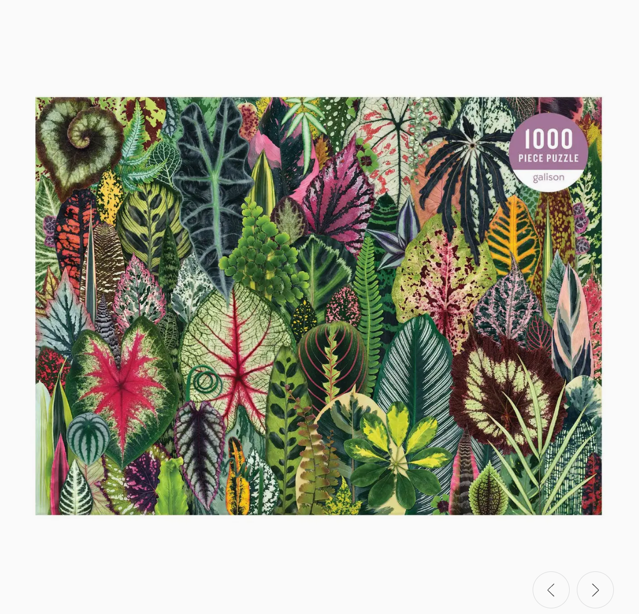Houseplant Jungle 1000 Piece Puzzle