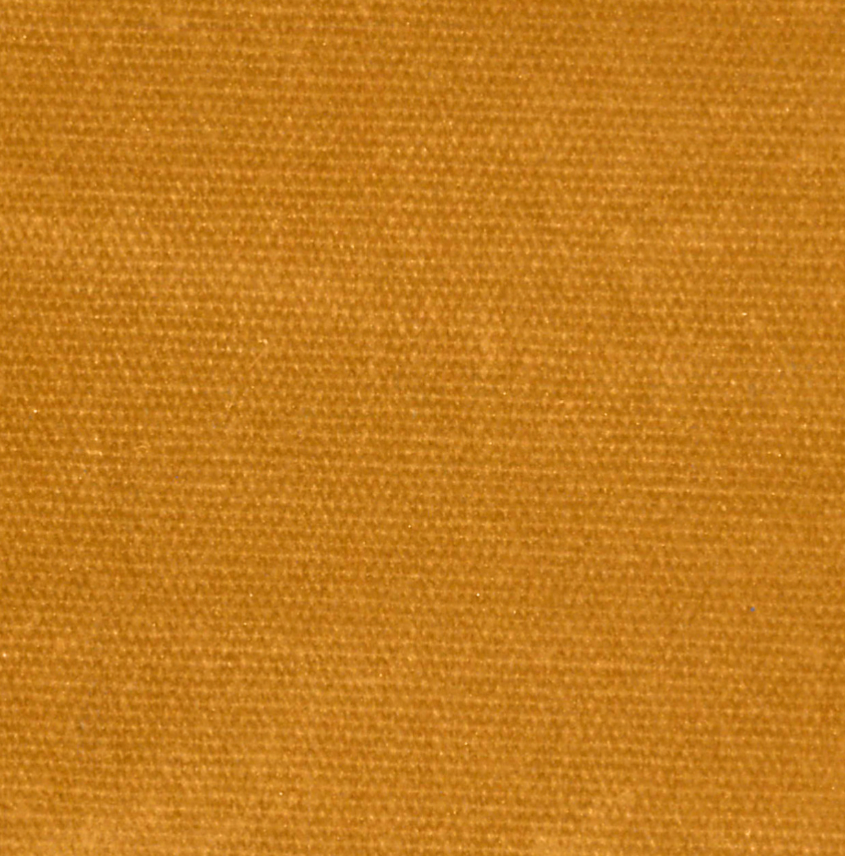 Amber Waxed Canvas