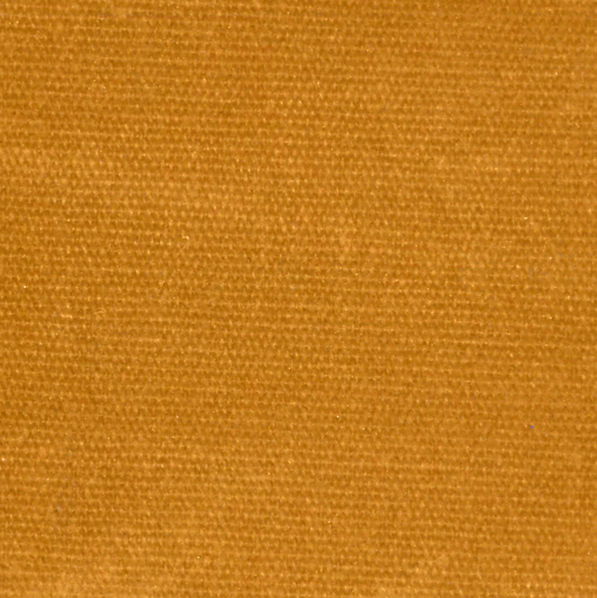 Amber Waxed Canvas