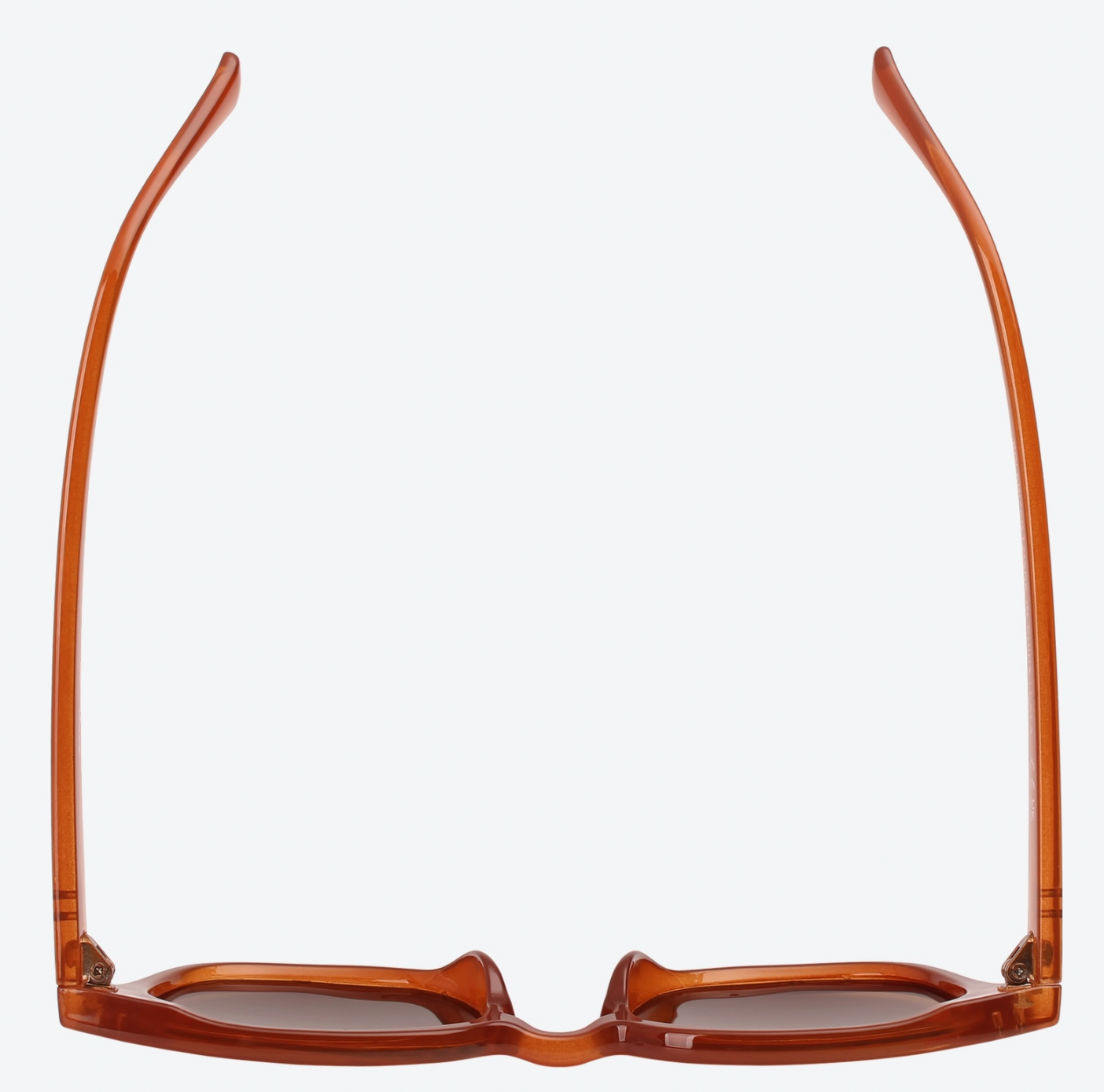 Diner - Rusty Tortoise Sunglasses