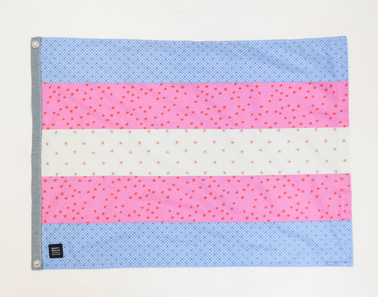 S+W Trans Pride Flag