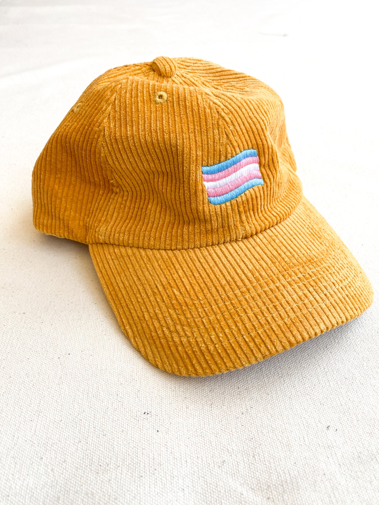 Trans Pride Flag Hat