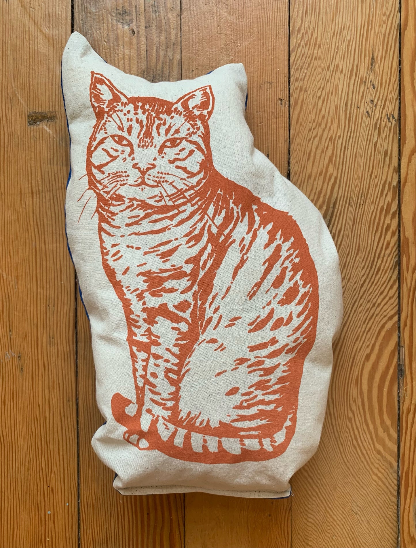 Cat Pillow by Sarah Landwehr