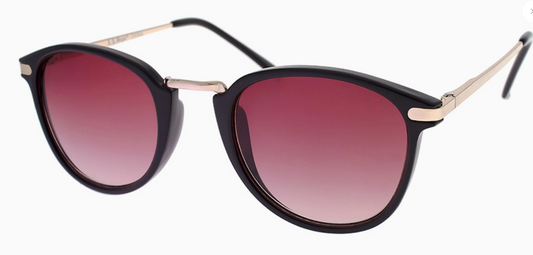 Castro Black/Gold Sunglasses