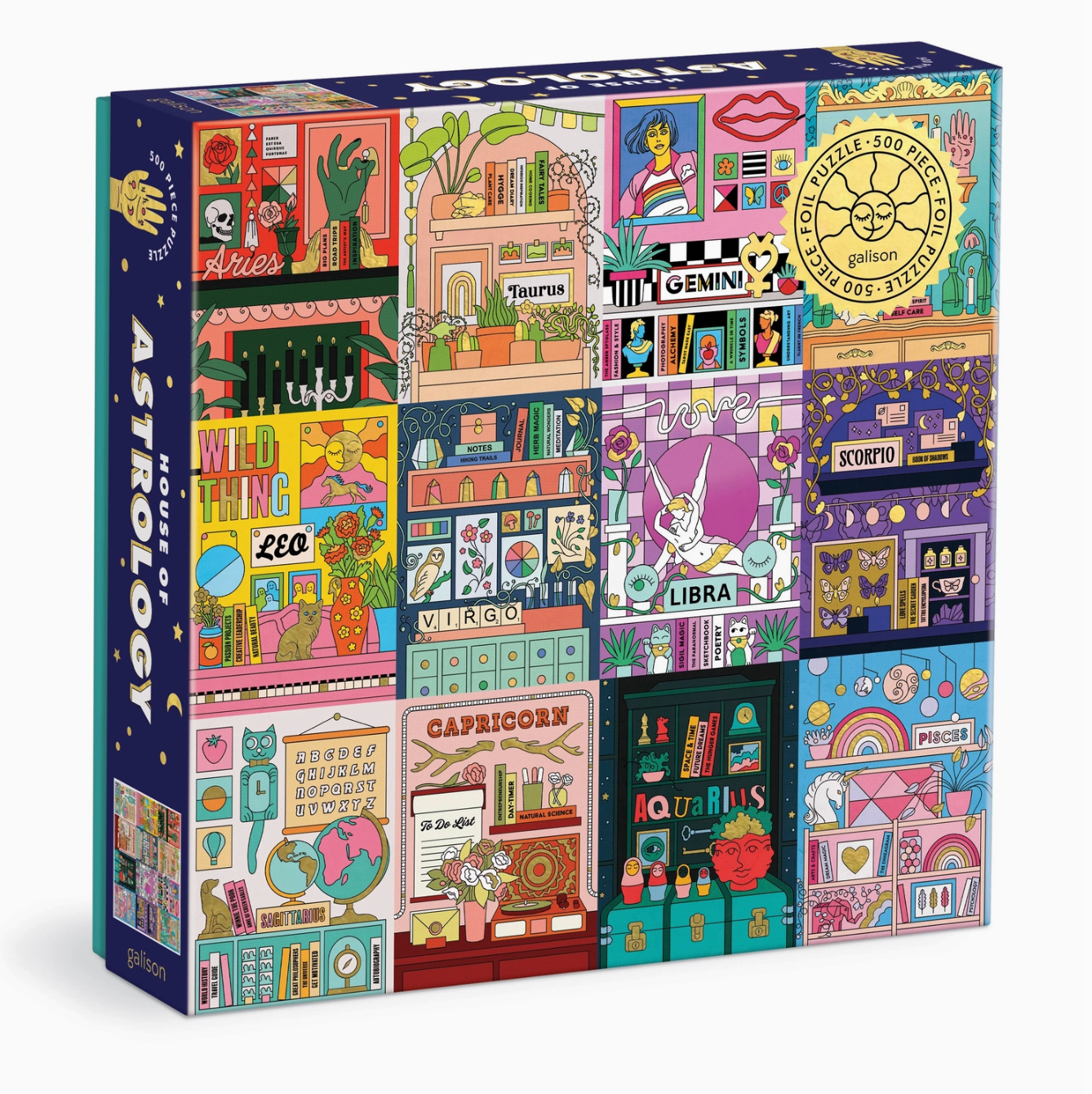 House of Astrology Puzzle