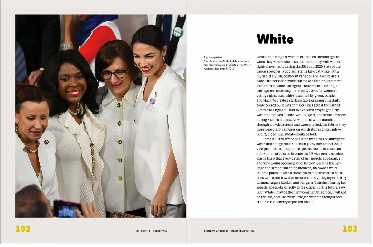 Dressing the Resistance: The Visual Language of Protest