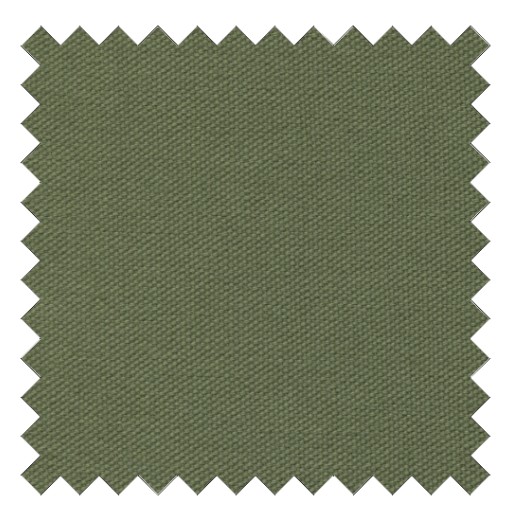 Carr Organic 10oz Canvas in Fern