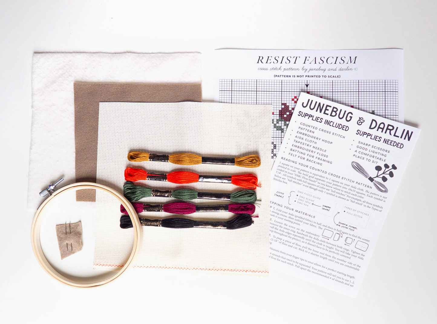 Resist Fascism Cross Stitch Kit