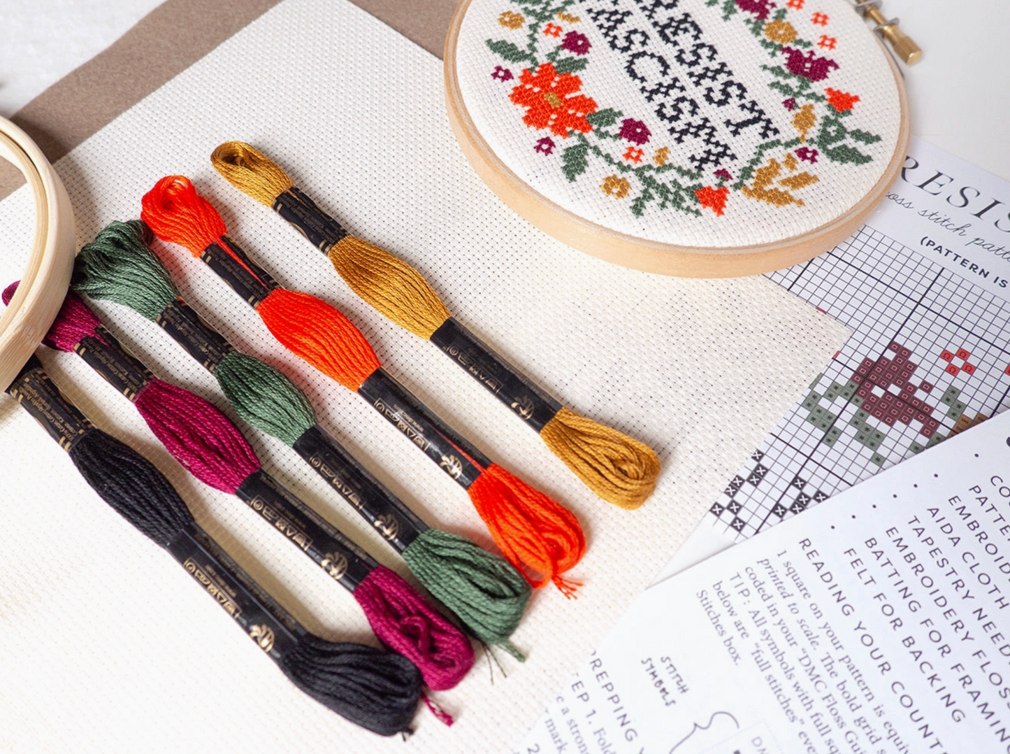 Resist Fascism Cross Stitch Kit