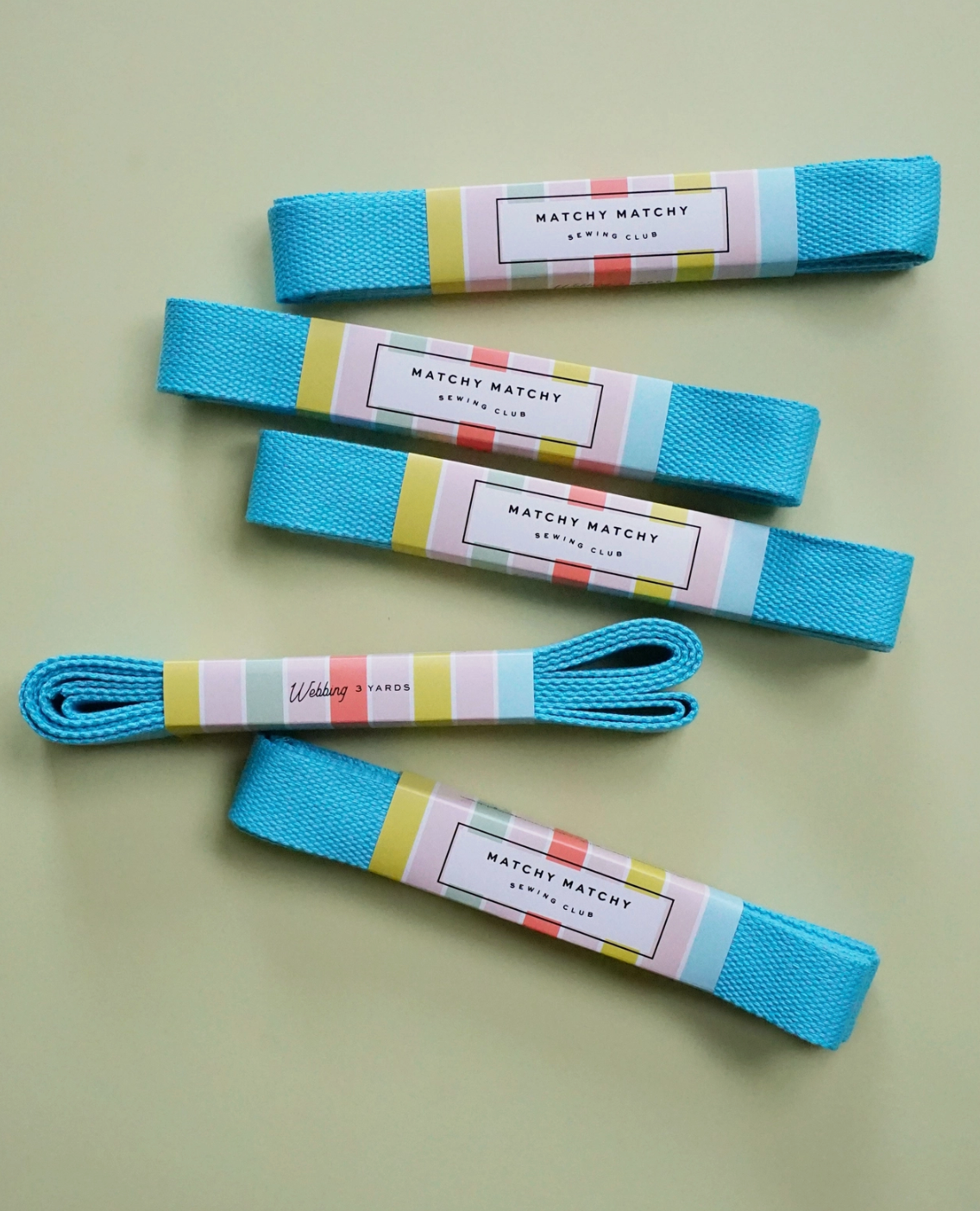 Turqouise Webbing