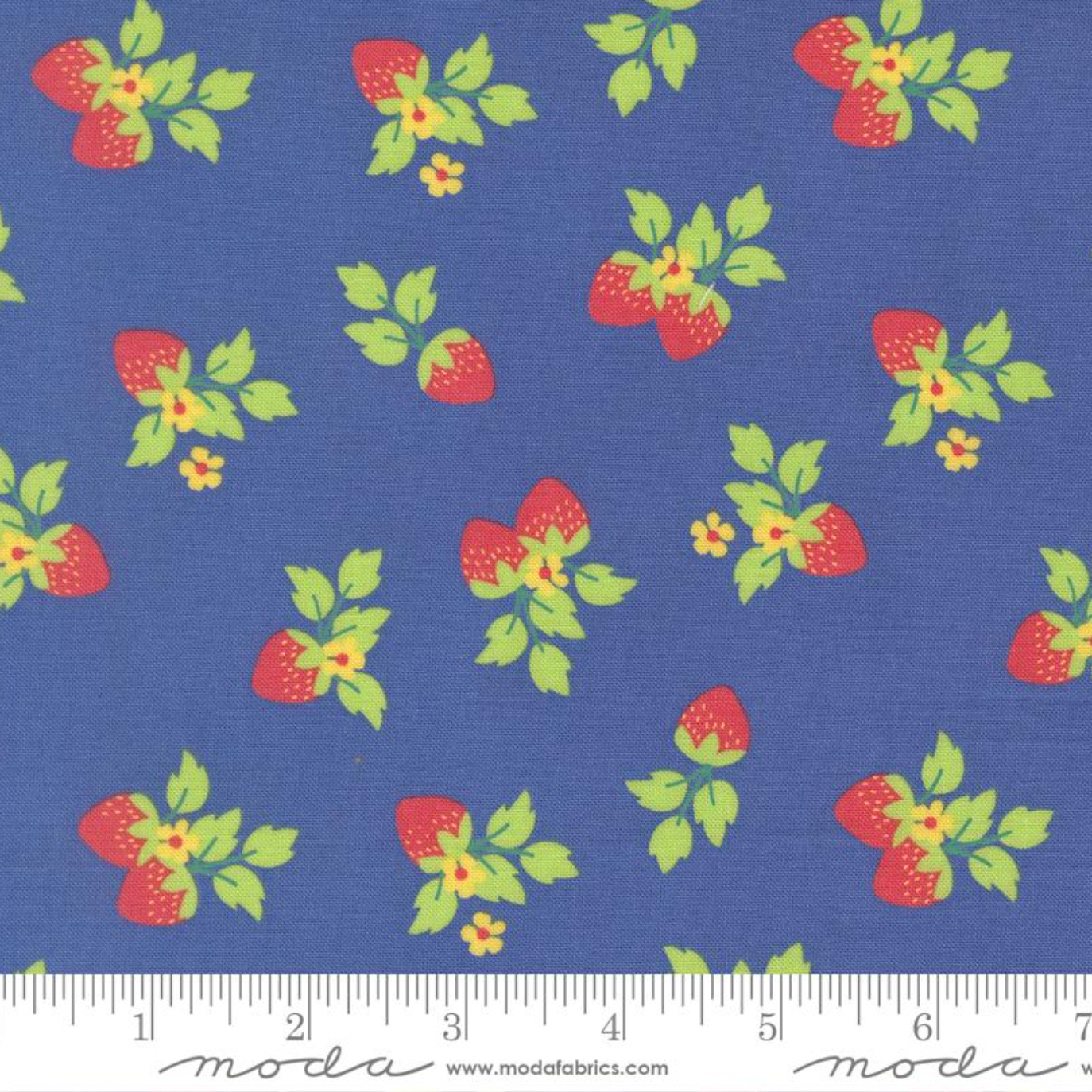 Fruit Salad Cobalt