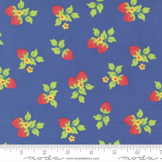 Fruit Salad Cobalt