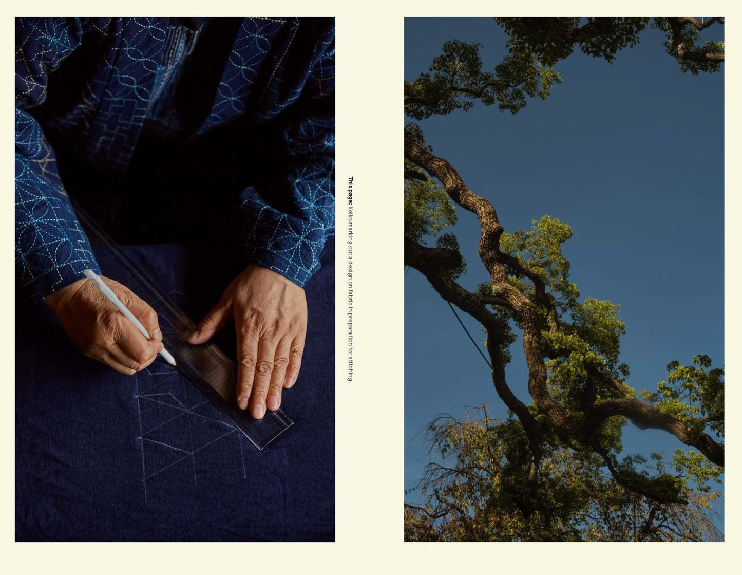 Sashiko: The Untold Story