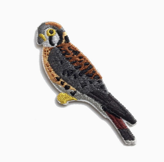 American Kestrel Patch