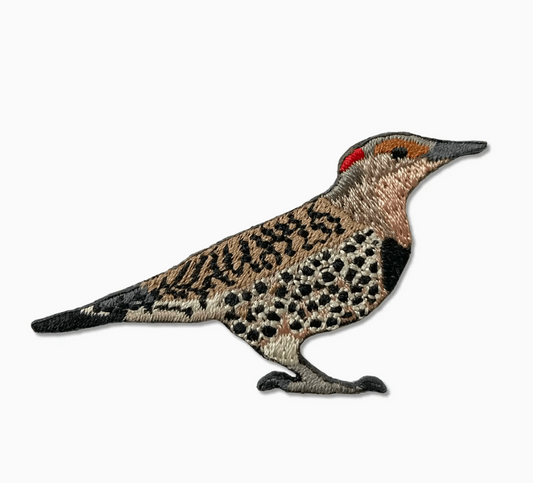 Northern Flicker Patch